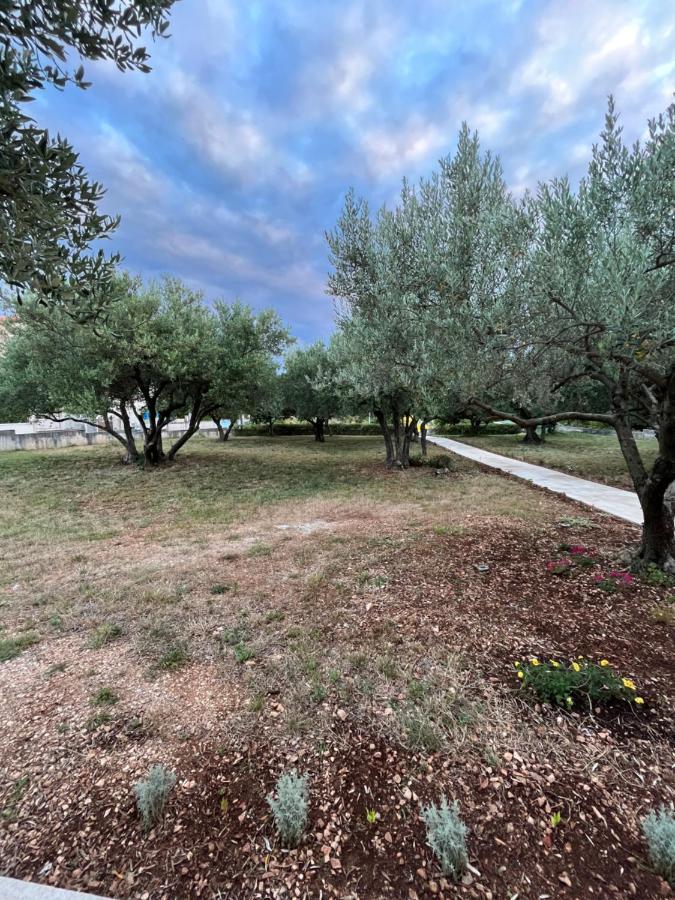 Apartman Oliva Zadar Bagian luar foto