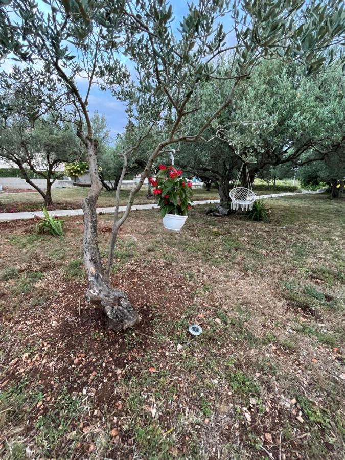 Apartman Oliva Zadar Bagian luar foto