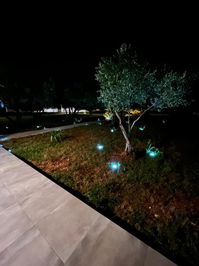 Apartman Oliva Zadar Bagian luar foto